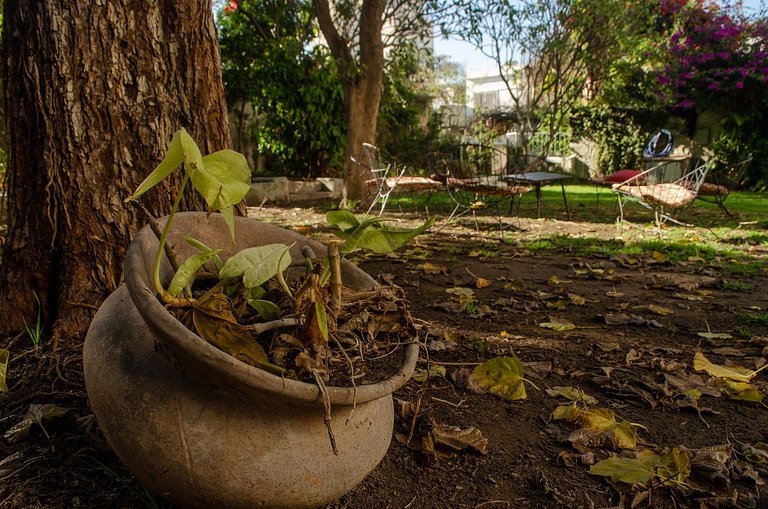 Casa con piscina en el centro de Santiago del Estero