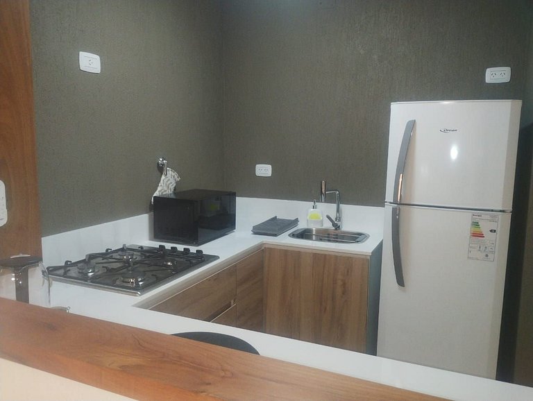 Departamento céntrico